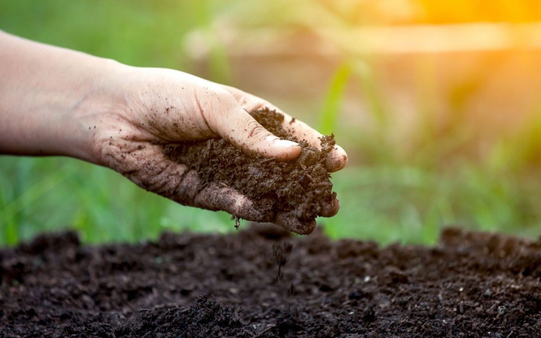 Soil, the elephant in the room