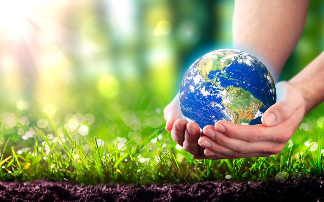Soil, the earth’s living, breathing fragile skin