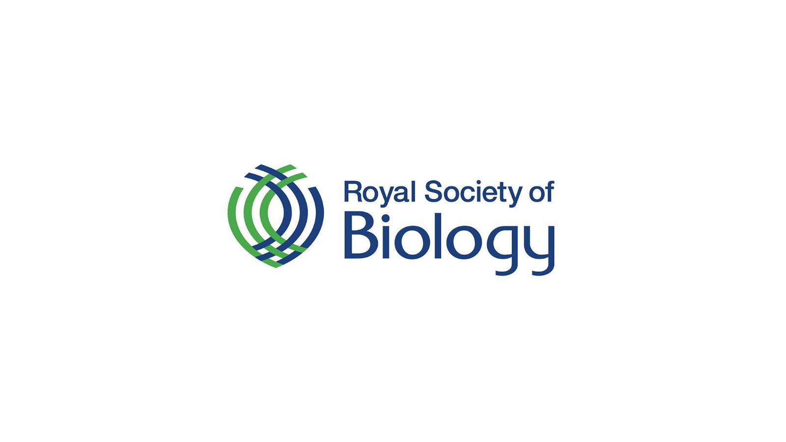 RSB 3