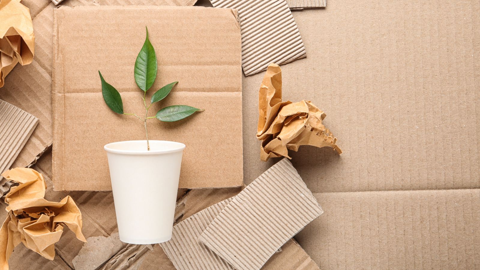 Flat lay composition with pieces of cardboard and green branch,