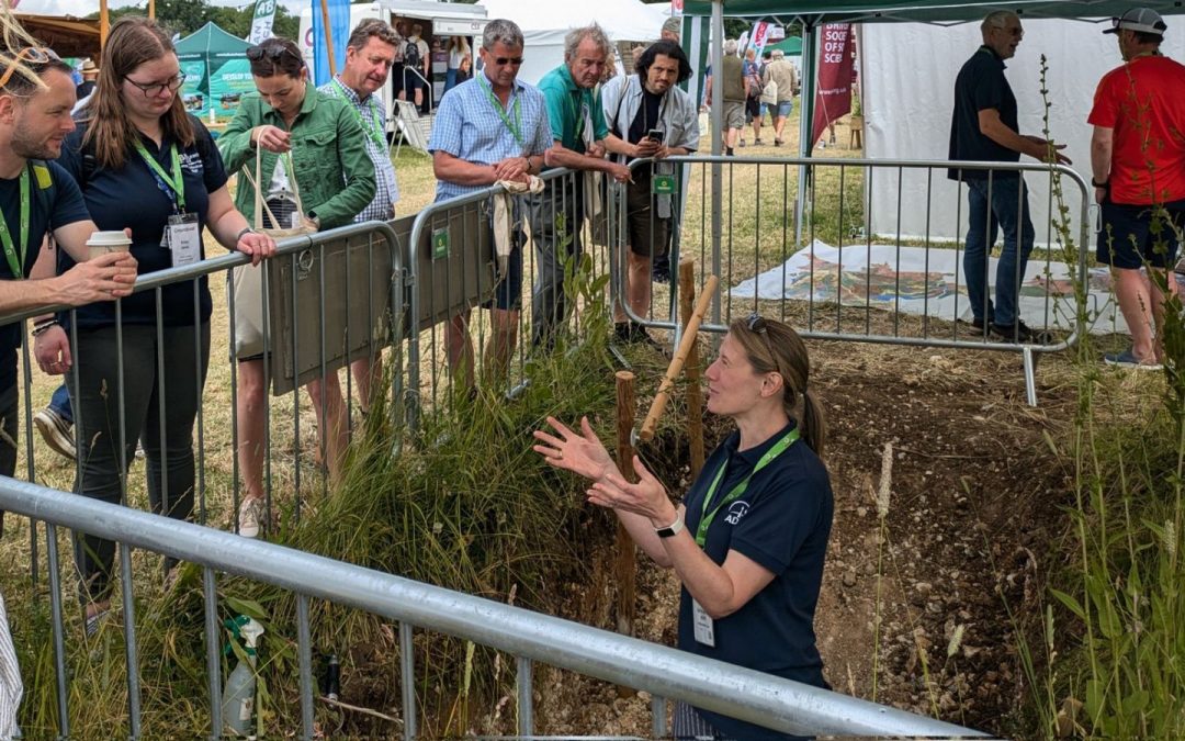 Supporting soil science education
